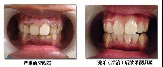 微信图片_20200812082354