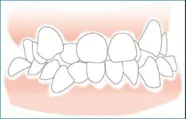 微信图片_20210810085510