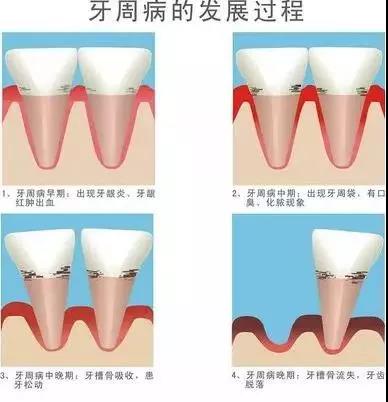 微信图片_20200826081607