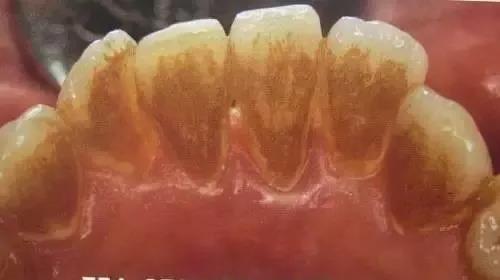 微信图片_20200826081601