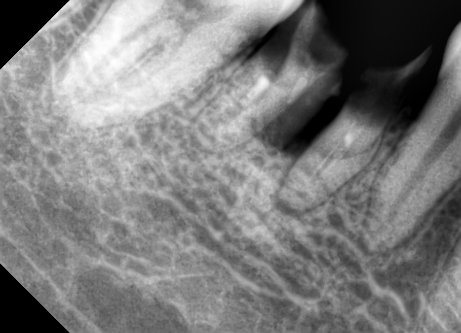 图片1.png 图片1.png