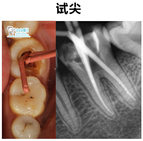 QQ截图20181022142701