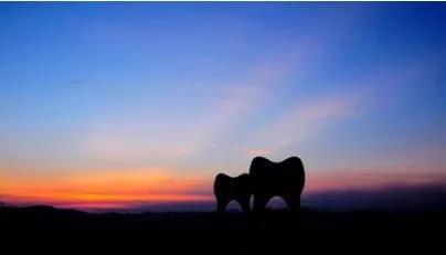 微信图片_20200630170651