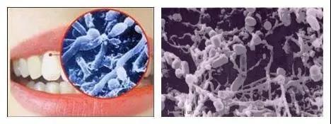 微信图片_20200902083233