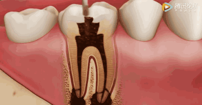 微信图片_20200728091654