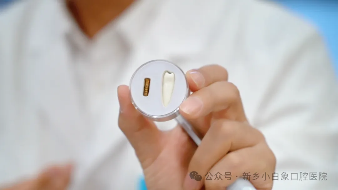 640 (10)_看图王.web