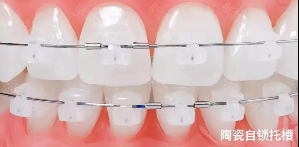 微信图片_20210810102437