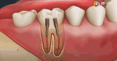 微信图片_20200728091727