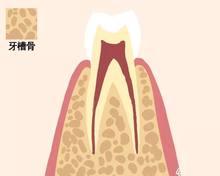 微信图片_20200812082340