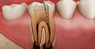 微信图片_20200728091704