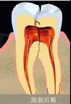 微信图片_20200902084008