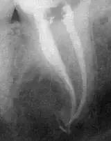 微信图片_20200728091733