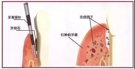 微信图片_20200812082332