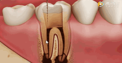 微信图片_20200728091701