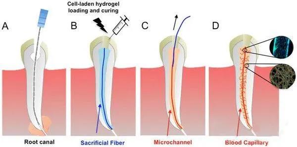 微信图片_20210810094018