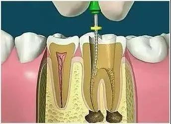 微信图片_20210810094007
