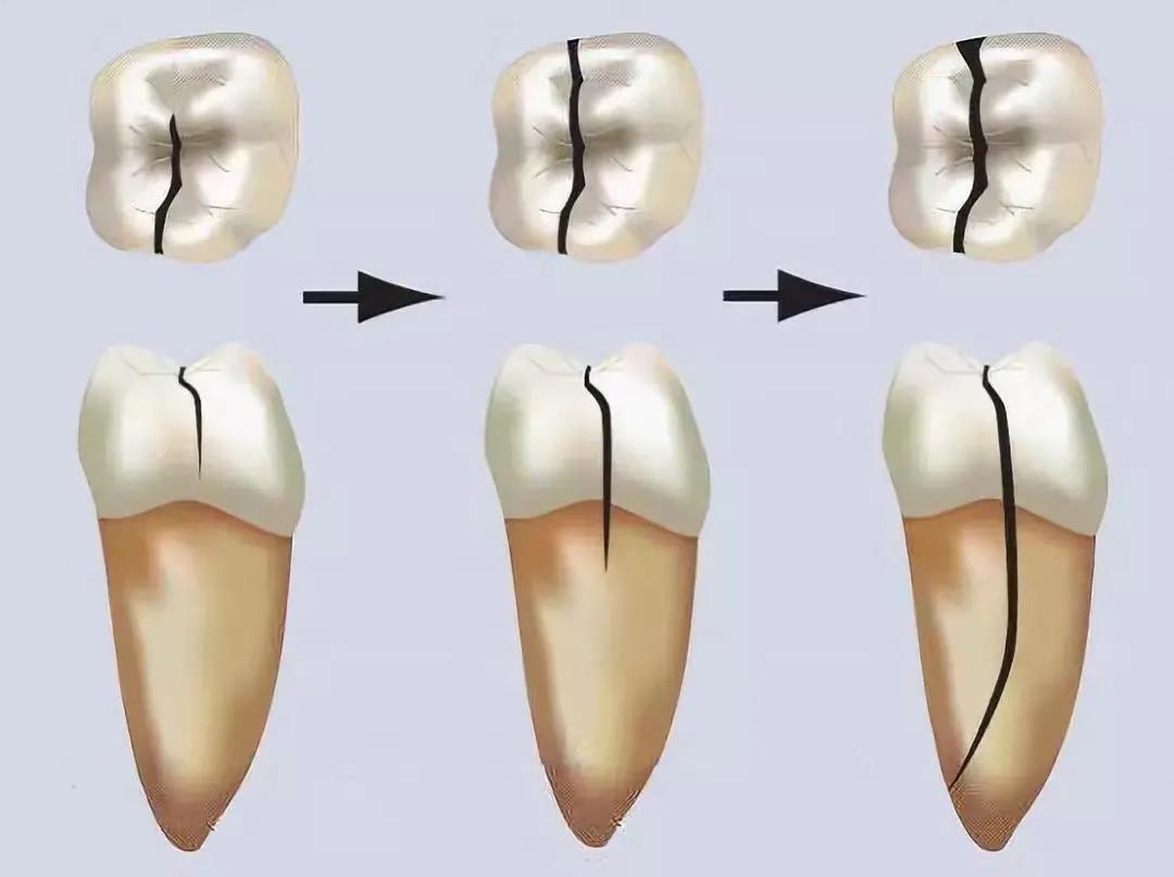 微信图片_20210816152010