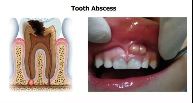 微信图片_20200819091129