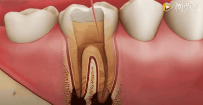 微信图片_20200728091706