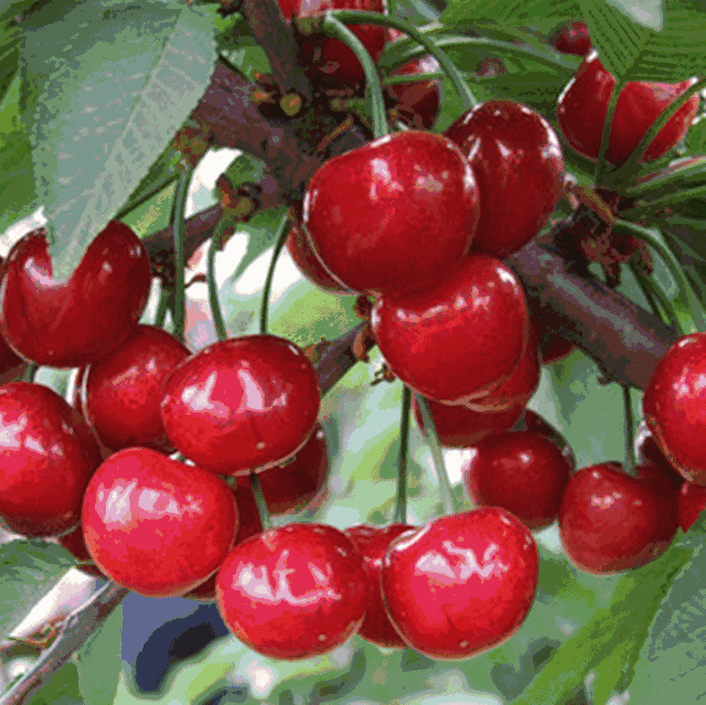 微信图片_20200812084657