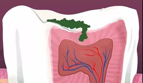 微信图片_20200812082337