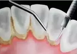 QQ截图20190213102506