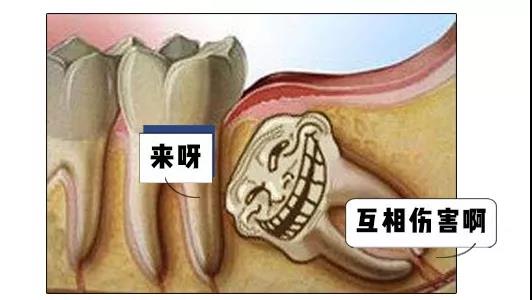 微信图片_20191218084547