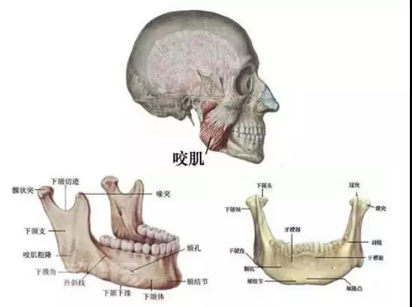 微信图片_20191218084712