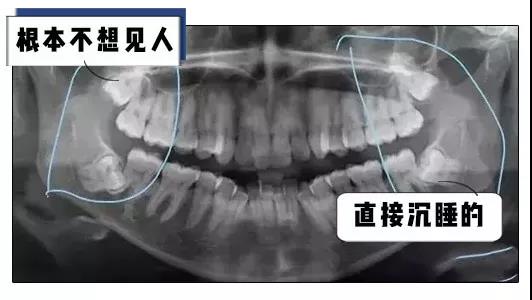 微信图片_20191218084627