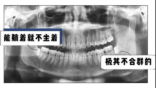 微信图片_20191218084623