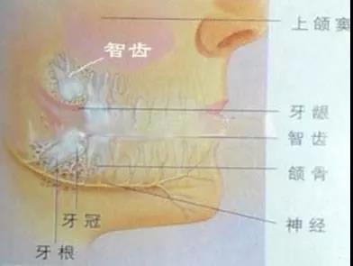 微信图片_20191218084731