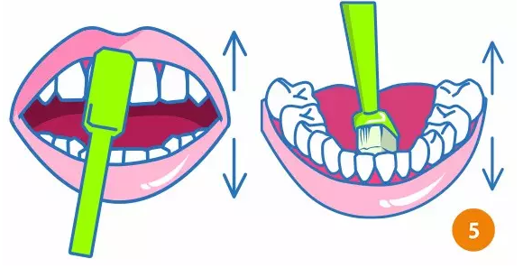 汉中小白象口腔图片